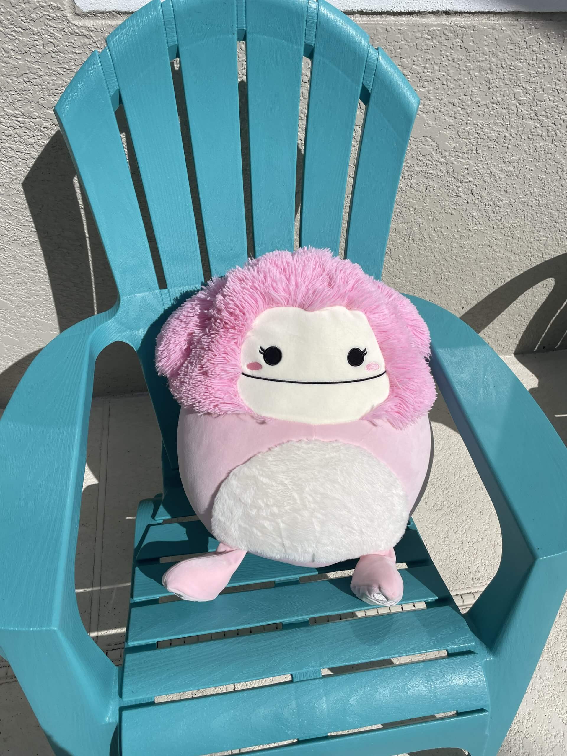 Can you Wash Squishmallows ? Fully Home