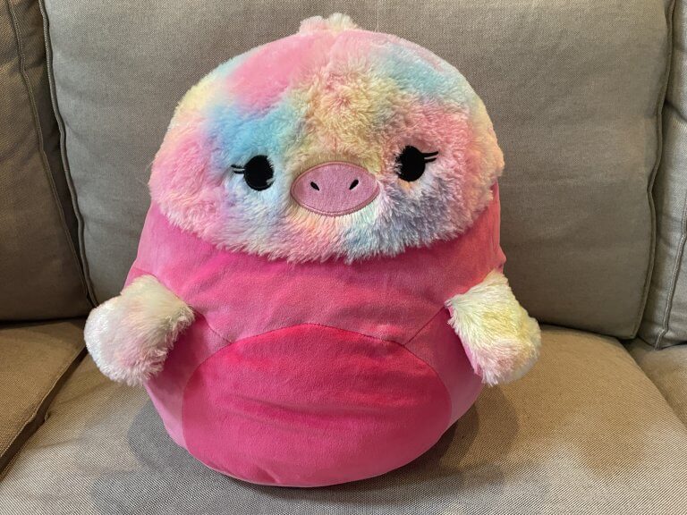 What is the Rarest Squishmallow ? Fully Home